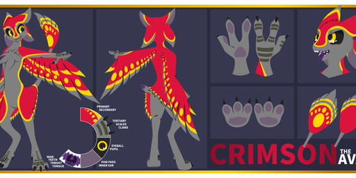 4_ears ambiguous_gender anthro border claws feathered_wings feathers feet gesture grey_body hand_gesture hindpaw multi_ear nude open_mouth paws pointing red_body red_feathers scales simple_background smile smug solo standing text tongue tongue_out white_border winged_arms wings yellow_body yellow_feathers poundbandana crimson_(crimsontheavali) avali avian absurd_res digital_media_(artwork) english_text hi_res model_sheet