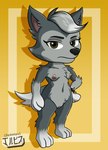 anthro black_nose bracelet breasts female fur genitals grey_body grey_fur hair jewelry looking_at_viewer nipples nude pussy simple_background solo spiked_bracelet spikes jackintaro paw_patrol gasket_(paw_patrol) canid canine canis domestic_dog husky mammal nordic_sled_dog spitz digital_media_(artwork) hi_res