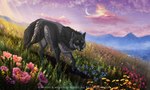 feral field flower moon night plant sky solo star melodyofforest noxeri canid canine canis mammal wolf 5:3 artist_collaboration