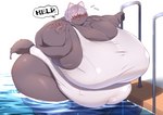 5_fingers anthro belly big_belly big_breasts blush bodily_fluids breasts clothed clothing female fingers flying_sweatdrops fur grey_body grey_fur hair hair_over_eyes huge_breasts hyper hyper_breasts morbidly_obese morbidly_obese_anthro morbidly_obese_female obese obese_anthro obese_female overweight overweight_anthro overweight_female solo sweat sweatdrop swimming_pool swimwear text wet squarewave29 canid canine mammal english_text