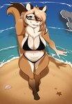 anthro beach big_breasts bikini blue_eyes breasts brown_body brown_fur buckteeth clothing female fluffy fluffy_tail front_view fur looking_at_viewer neck_tuft seaside solo standing swimwear tail teeth tuft two-piece_swimsuit water wet wide_hips amberpendant chipmunk ground_squirrel mammal rodent sciurid 2024 absurd_res hi_res