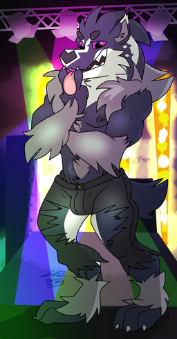 anthro black_body black_fur blue_eyes bulge claws clothed clothing concert fur hair lights looking_at_viewer male muscular muscular_anthro muscular_male nipple_piercing nipples open_mouth piercing smile solo stage standing teeth tongue tongue_out torn_clothing white_body white_fur sylvanedadeer nintendo pokemon generation_8_pokemon mammal mustelid obstagoon pokemon_(species) 2019 absurd_res digital_media_(artwork) hi_res