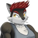 anthro biting_on_toothpick black_nose chest_tuft clothed clothing eyebrows fur hair inner_ear_fluff male multicolored_body multicolored_fur red_eyebrows red_hair shirt solo toothpick topwear tuft white_inner_ear_fluff soldirix canid canine canis fox hybrid mammal wolf 1:1