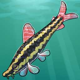 ambiguous_gender black_body dorsal_fin feral fin solo tail tail_fin underwater water yellow_body flamingpickle fish marine 1:1