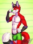 anthro big_bulge boxer_briefs bulge clothed clothing fluffy fluffy_tail fur gesture green_clothing green_nose green_underwear hair hand_gesture looking_at_viewer male muscular muscular_anthro muscular_male pecs pointing simple_background smile smirk solo tail teeth topless underwear water_balloon white_body white_fur youtuber vallhound majira_strawberry canid canine fox mammal 2018 3:4 dated digital_media_(artwork) hi_res meme watermark