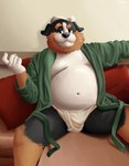 absurd_res anthro bathrobe beckoning belly big_belly bottomwear bulge canid canine canis clothed clothing digital_media_(artwork) domestic_dog facial_hair felix_gutman fur furniture gesture hi_res looking_at_viewer male mammal mature_male molosser moobs mountain_dog navel open_clothing overweight overweight_anthro overweight_male robe saint_bernard sibluself sitting sofa solo underwear