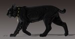 all_fours animal_genitalia balls black_body black_fur feline_sheath feral fully_sheathed fur genitals green_eyes jewelry male necklace sheath solo walking dragoness31 thetigress kade_(dragoness31) felid feline lynx mammal hi_res