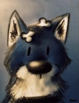 ambiguous_gender blue_body blue_fur blue_husky bone feral fur looking_at_viewer solo karpav0li wachhund_(character) canid canine canis domestic_dog husky mammal nordic_sled_dog spitz