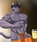 abs anthro blush facial_scar male mature_male muscular muscular_anthro nipples nude pecs scar speedo_around_one_leg yom_mido_plus lifewonders live_a_hero tsuneaki domestic_cat felid feline felis mammal hi_res