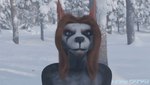 angry anthro beard black_body black_fur blue_eyes detailed_background facial_hair fangs forest fur growling hair long_hair male plant realistic red_hair showing_teeth snow solo teeth tree white_face winter kinkyskinky canid canine canis domestic_dog mammal 16:9 3d_(artwork) 3d_animation animated digital_media_(artwork) short_playtime widescreen