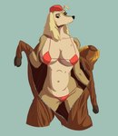 anthro bikini blonde_hair blue_background breasts camel_toe clothing costume female hair half-closed_eyes hat headgear headwear horse_costume narrowed_eyes navel pilot simple_background solo swimwear tan_body thong two-piece_swimsuit underwear undressing unzipped zipper 4cus95 cuphead_(game) sergeant_o'fera canid canine canis domestic_dog hunting_dog mammal saluki sighthound hi_res portrait three-quarter_portrait