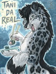 :3 abstract_background anthro black_hair blue_eyes chopsticks female food hair leopard_spots nude simple_background solo spots sushi tail teeth tongue kacey tanidareal_(character) canid canine canis felid hybrid mammal pantherine snow_leopard wolf 2007 character_badge_(artwork)