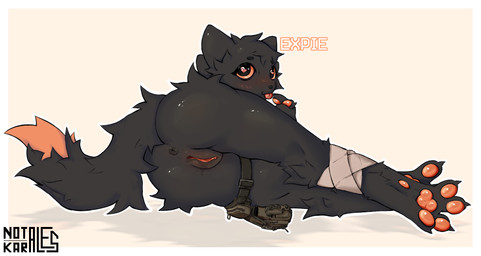 anthro anus aroused bandage bandaged_leg big_butt big_pawpads big_tail black_body black_eyes black_fur blush bodily_fluids butt circle_eyebrows claws dipstick_tail eyebrows feet female fluffy fluffy_tail fur genital_fluids genital_focus genitals glistening glistening_pawpads hip_bag in_heat looking_back markings nude_anthro orange_blush orange_pawpads orange_sclera orange_vulva pawpads presenting simple_background solo spread_toes tail tail_markings thick_thighs toe_claws toes tongue tongue_out vaginal_fluids vulva wide_hips notkarales casualties:_unknown canid expie_(gunsawian) gunsawian hybrid mammal murid rodent digital_drawing_(artwork) digital_media_(artwork) hi_res shaded