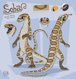 3_toes 4_fingers ambiguous_gender anthro biped blue_background fangs featureless_crotch feet fingers forked_tongue gloves_(marking) leg_markings long_tail markings nude pupils scales simple_background slit_pupils socks_(marking) solo standing tail tan_body tan_scales teeth text toes tongue yellow_eyes eekanant soba_(eekanant) colubrid great_plains_rat_snake lampropeltini legged_snake rat_snake reptile scalie snake artist_name character_name digital_drawing_(artwork) digital_media_(artwork) english_text hi_res model_sheet