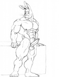 abs anthro balls biceps big_penis biped circumcised erection fur genitals humanoid_genitalia humanoid_penis looking_at_viewer male muscular muscular_anthro muscular_male nipples nude pecs penis pose solo standing sudonym lagomorph leporid mammal rabbit monochrome sketch