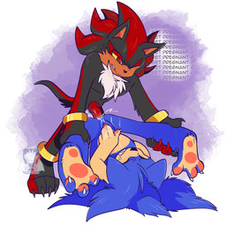2_finger_fingering 3_toes 5_fingers anal anal_penetration andromorph andromorph/male andromorph_penetrated animal_genitalia animal_penis anthro bodily_fluids canine_genitalia canine_penis cum cum_in_ass cum_inside duo eyes_closed feet fingering fingers fluffy fluffy_chest genital_fluids genitals intersex intersex/male intersex_penetrated legs_back male male_penetrated male_penetrating male_penetrating_andromorph male_penetrating_intersex masturbation orgasm orgasm_face pawpads penetration penile penile_penetration penis penis_in_ass sex toes vaginal vaginal_fingering vaginal_masturbation wince impydragon sega sonic_the_hedgehog_(series) shadow_the_hedgehog sonic_the_hedgehog eulipotyphlan hedgehog mammal