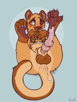accessory anatomically_correct anatomically_correct_genitalia anatomically_correct_penis animal_genitalia animal_penis anus balls blush bodily_fluids book brown_body brown_fur cock_ring erection feral fossa_penis fur genital_fluids genitals heterochromia jewelry knot lying male multi_knot on_back open_mouth pawpads paws penile_spines penis penis_accessory penis_jewelry precum presenting presenting_penis sheath simple_background solo tail tail_anus tapering_penis tongue yurusa euplerid fossa mammal 2025 3:4 digital_media_(artwork) hi_res