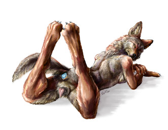 anal anal_penetration anatomically_correct anatomically_correct_genitalia anatomically_correct_vulva animal_genitalia animal_vulva anthro bent_legs breasts buttplug buttplug_in_ass buttplug_insertion calves_up canine_genitalia canine_vulva claws digitigrade female gem genitals inner_ear_fluff jewel_buttplug looking_back lying nude object_in_ass on_front penetration plug_(sex_toy) plug_insertion presenting presenting_vulva raised_calf sex_toy sex_toy_in_ass sex_toy_insertion side_boob simple_background solo spread_legs spreading tail tail_anus toe_claws tuft vulva whiskers white_background yellow_sclera coypowers canid canine canis coyote mammal digital_media_(artwork) digital_painting_(artwork) painting_(artwork)