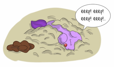 ambiguous_feral ambiguous_gender animal_noises buried dialogue dirt eyes_closed feces feral fur monotone_body monotone_fur open_mouth purple_body purple_fur purple_tail solo speech_bubble stuck tail text young young_ambiguous young_feral carpdime fluffy_pony fluffy_pony_(species) mammal digital_media_(artwork) english_text shaded
