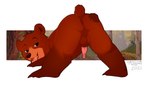 animal_genitalia animal_penis anus ass_up backsack balls bear_tail bedroom_eyes black_eyebrows black_eyes brown_balls brown_body brown_claws brown_ears brown_fur brown_inner_ear brown_nose brown_perineum brown_tail butt butt_focus claws countershade_face countershading day erection eyebrows feral fur genitals gloves_(marking) grass half-closed_eyes hand_on_butt hand_on_own_butt head_tuft leg_markings looking_at_viewer looking_back male markings moss narrowed_eyes open_mouth open_smile outside penis perineum pink_anus pink_penis pink_tongue plant presenting presenting_anus presenting_hindquarters presenting_to_viewer raised_tail rear_view seductive short_tail smile socks_(marking) solo spread_anus spread_legs spreading tail tan_body tan_countershading tan_fur teeth text tongue tree tuft ursine_penis young young_feral young_male nanuna brother_bear disney koda_(brother_bear) bear brown_bear grizzly_bear mammal ursine 2021 artist_name hi_res signature