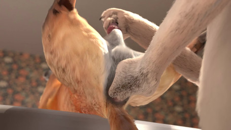 ambiguous_gender ambiguous_penetrating ambiguous_penetrating_male anal anal_fingering anal_penetration animal_genitalia animal_penis anthro anthro_on_feral anthro_penetrating anthro_penetrating_feral anus balls bed bestiality butt canine_genitalia canine_penis close-up duo erection feral feral_penetrated fingering fingering_partner flat_chested furniture genitals handjob handjob_while_fingering handjob_while_penetrating inside interspecies knot knotted_penis leg_twitch low-angle_view lying male male/ambiguous male_penetrated nightstand on_back on_bed penetration penile penis pillow realistic_feral sex hiad amaranth_(hiad) ash_(hiad) canid canine canis fox mammal true_fox wolf 16:9 2026 3d_(artwork) 3d_animation animated digital_media_(artwork) hi_res no_sound short_playtime video widescreen