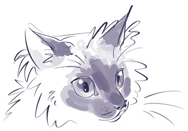 ambiguous_gender black_nose feral fur inner_ear_fluff looking_forward mouth_closed pupils simple_background solo tuft whiskers white_background flavia-elric domestic_cat felid feline felis mammal 2019 digital_media_(artwork) sketch