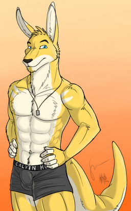abs anthro black_nose blue_eyes bulge clothed clothing front_view fur glistening glistening_eyes gradient_background hand_on_hip head_tuft jewelry looking_at_viewer male male_anthro mouth_closed muscular muscular_anthro muscular_male necklace pecs simple_background solo standing topless tuft white_body white_fur yellow_body yellow_fur hufnaar solaxe kangaroo macropod mammal marsupial 2014 dated hi_res portrait three-quarter_portrait