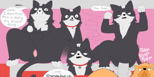 anal anal_penetration angry anthro anthro_penetrated anus balls big_butt biped black_body black_ears black_eyes black_fur black_nose black_tail blush blush_lines butt collar collar_only collar_tag dialogue duo erection fangs first_person_view front_view fur genitals half-closed_eyes looking_away looking_pleasured male male/male male_penetrated male_penetrating male_penetrating_male multicolored_body multicolored_fur narrowed_eyes nude open_mouth penetration penile penile_penetration penis penis_in_ass rear_view red_collar sex sharp_teeth smile speech_bubble standing t_square_position tail teeth text thick_thighs three-quarter_view tongue two_tone_body two_tone_fur whiskers white_body white_fur sushiamazing amazon_(company) kevin_(series) armando_(kevin) kevin_(kevin) domestic_cat felid feline felis mammal 2026 absurd_res digital_media_(artwork) english_text hi_res