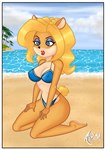 anthro barefoot beach bikini blonde_hair breasts clothing feet female fur hair long_hair nipples seaside solo summer swimwear trent84731740 two-piece_swimsuit activision crash_bandicoot_(series) crash_team_racing_(series) crash_team_racing_nitro-fueled isabella_bandicoot hi_res