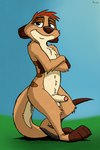 anthro aroused balls erection foreskin genitals hair looking_at_viewer male paws penis red_hair solo standing conditional_dnp pawsta disney the_lion_king the_lion_king's_timon_&_pumbaa timon herpestid mammal meerkat 2:3 absurd_res hi_res