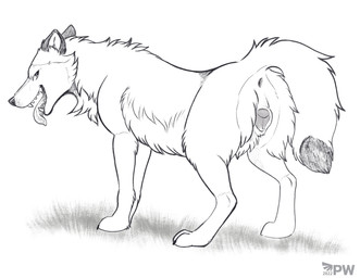 anatomically_correct anatomically_correct_anus anatomically_correct_genitalia anatomically_correct_vulva animal_genitalia animal_vulva anus butt canine_genitalia canine_vulva female feral fur genitals grass inner_ear_fluff looking_back plant presenting presenting_anus presenting_hindquarters presenting_vulva quadruped raised_tail rear_view simple_background solo tail text tongue tongue_out tuft vulva white_background paper-wings canid canine canis mammal wolf 2022 absurd_res dated detailed digital_drawing_(artwork) digital_media_(artwork) english_text full-length_portrait hi_res monochrome portrait watermark