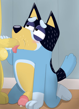 anthro bodily_fluids duo fellatio genital_fluids genitals humanoid_genitalia humanoid_penis male male/male on_model oral penile penis precum sex tongue tongue_out tongue_out_fellatio courtzside45 bluey_(series) bandit_heeler pat_(bluey) australian_cattle_dog bird_dog canid canine canis cattledog domestic_dog herding_dog hunting_dog labrador mammal pastoral_dog retriever absurd_res hi_res