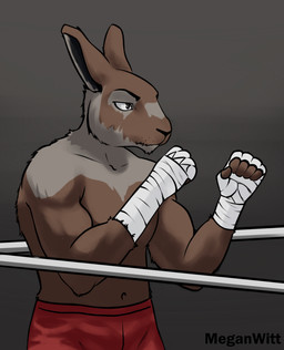 angry anthro bottomwear boxing brown_body clothed clothing fighting_ring frown fur male muscular muscular_male shorts simple_background solo sport topless meganwitt hare lagomorph leporid mammal rabbit absurd_res digital_media_(artwork) hi_res