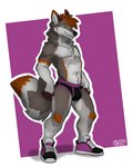 anthro bottomwear bulge clothing footwear fur male shoes solo text underwear danny_arctic_(artist) bazer canid canine canis fox hybrid mammal true_fox wolf 4:5 english_text full-length_portrait hi_res portrait