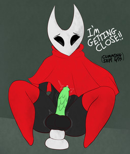 anal anal_penetration anthro balls biped cloak clothing crossgender dildo dildo_in_ass dildo_insertion footwear ftm_crossgender genitals male object_in_ass penetration penis sex_toy sex_toy_in_ass sex_toy_insertion socks solo text booponies conditional_dnp hollow_knight_(franchise) team_cherry hornet_(hollow_knight) arthropod insect 2025 hi_res