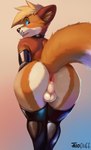 anthro anus balls bent_over butt clothing collar fur genitals gloves hair handwear latex legwear looking_back male raised_tail rear_view simple_background solo tail tail_anus thigh_highs aiofluff canid canine canis dingo mammal absurd_res digital_media_(artwork) hi_res