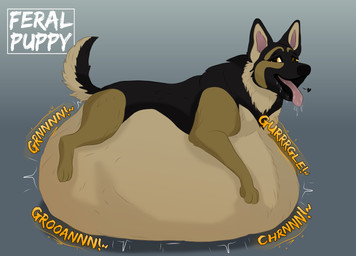 after_vore ambiguous_gender belly big_belly black_body black_tail bodily_fluids brown_legs duo feral feral_pred grey_background heart_symbol huge_belly orange_eyes rumbling_stomach saliva simple_background tail text tongue tongue_out vore feral-puppy canid canine canis domestic_dog german_shepherd herding_dog mammal pastoral_dog 2024 english_text hi_res watermark