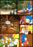 absurd_res anthro canid canine comic dialogue digital_media_(artwork) english_text eulipotyphlan female fox group happy hedgehog hi_res male mammal miles_prower sega smile sonic_boom sonic_the_hedgehog sonic_the_hedgehog_(series) speech_bubble superbunnygt text zooey_the_fox