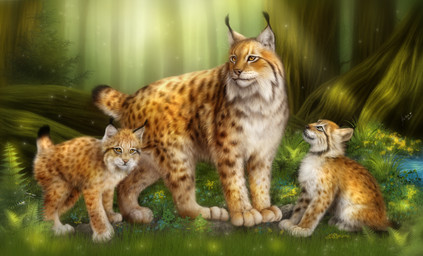 ambiguous_gender brown_body brown_fur brown_spots cheek_tuft day detailed_fur ear_tuft facial_tuft feral forest fur grass group light light_beam markings outside photorealism plant realistic spots spotted_body spotted_fur sunbeam sunlight tree tuft whiskers white_body white_fur young young_feral elena_roslyakova felid feline lynx mammal 2015 detailed hi_res lighting