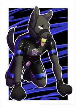 all_fours anthro ball_gag bdsm bondage_gear bondage_gloves chastity_cage chastity_device clothing gag gagged gimp_suit handwear latex male muzzle_(object) muzzled petplay puppyplay roleplay solo dirtybird canid canine mammal