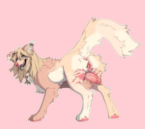 animal_genitalia animal_penis animal_vulva anus canine_genitalia canine_penis canine_vulva erection feral genitals herm intersex leg_scar penis piercing presenting rear_view scar solo thigh_scar vulva dieudior mythology basil_gray canid canine canis domestic_dog dragon hybrid mammal mythological_creature mythological_scalie scalie absurd_res hi_res