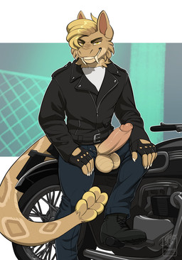 alternative_fashion anthro aroused aroused_face aroused_male aroused_smile balls bedroom_eyes big_balls big_penis biker biker_boots biker_gloves biker_jacket black_boots black_clothing black_fingerless_gloves black_footwear black_gloves black_handwear black_jacket black_leather black_leather_jacket black_topwear blue_bottomwear blue_clothing blue_jeans blue_pants boots bottomwear claws clothing cocky cocky_grin combat_boots delinquent denim denim_bottomwear denim_clothing erection fangs fangs_bared fingerless_gloves flirting flirting_with_viewer footwear fur genitals gloves greaser grin grinning_at_viewer handwear jacket jeans leather leather_clothing leather_gloves leather_handwear leather_jacket leather_topwear looking_at_viewer male manly markings motorcycle muscular muscular_anthro muscular_male narrowed_eyes pants penis penis_poking_out penis_through_clothing pose presenting presenting_body presenting_penis rebel seducing_viewer seductive shirt shoes sitting smile smiling_at_viewer solo spots spotted_body spotted_fur spotted_markings spotted_tail tail tail_markings teeth topwear unzipped unzipped_clothing unzipped_pants vehicle white_clothing white_shirt white_topwear yellow_body yellow_eyes yellow_fur zipper vallhound fallout microsoft archer_(cpl.seal) night_stalker_(fallout) hi_res