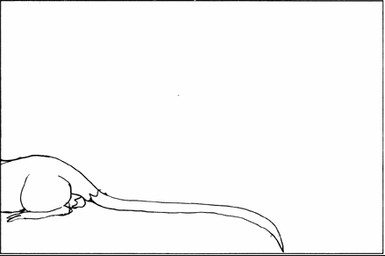 balls duo eyes_closed feral feral_pred feral_prey genitals head_first larger_pred male male/male male_pred male_prey nude_pred nude_prey oral_vore size_difference swallowing tail unwilling_prey vore willing_pred urbanhermit mammal murid murine rat reptile rodent scalie snake animated black_and_white low_res monochrome