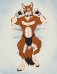 4_toes 5_fingers anthro arm_tuft bedding bedding_background bedroom_eyes big_bulge black_body black_claws black_fur black_nose black_pawpads blue_eyes bracelet broad_shoulders brown_body brown_fur bruma_(rinzazen) bulge canid canine canis choker claws clothing detailed_bulge digitigrade dipstick_tail druidyordle elbow_tuft ethiopian_wolf feet finger_claws fingers fist flexing flexing_bicep flexing_both_biceps fluffy fluffy_tail fur half-closed_eyes hi_res jewelry looking_at_viewer lying male mammal markings muscular muscular_anthro muscular_male narrowed_eyes navel necklace nipples on_back pawpads paws pose seductive smile solo tail tail_markings tan_body tan_fur toe_claws toes tribal tribal_clothing tuft underwear wolf wristband