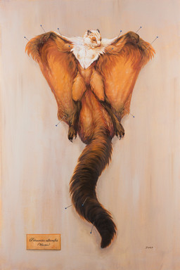 anthro breasts brown_body brown_fur claws digitigrade eyes_closed female fluffy fluffy_tail fur genitals long_tail membrane_(anatomy) multicolored_body multicolored_fur navel nipples nude pin_(fastener) pinned pinned_to_wall solo specimen_pinning spread_arms spread_legs spreading tail toe_claws vulva whiskers white_body white_fur scale_(artist) flying_squirrel mammal rodent sciurid 2025 hi_res