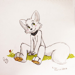 anthro black_collar blush cheek_tuft closed_smile collar facial_tuft front_view fur glistening glistening_eyes green_eyes head_tuft logo male mouth_closed nude pawpads sitting smile solo tail tuft white_body white_fur white_tail yellow_pawpads young young_anthro young_male pandapaco canid canine mammal 2017 artist_logo dated signature