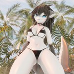 anthro band-aid bandage beach bikini bikini_bottom bikini_top black_hair breasts clothing collar female hair non-mammal_breasts smile smirk smug smug_face solo swimwear two-piece_swimsuit white_body white_skin envivr fish marine shark 1:1 3d_(artwork) digital_media_(artwork) hi_res