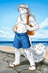 abs anthro backpack ball beach beach_ball clothed clothing detailed_background inflatable looking_at_viewer male muscular muscular_anthro muscular_male outside pecs sand seaside sky solo topless water kazat avian bird felid gull lari larid mammal pantherine snow_leopard 2011 2:3