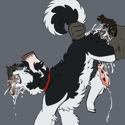 anal anal_penetration animal_genitalia animal_penis anus balls bestiality black_body black_fur blue_eyes bodily_fluids canine_genitalia collar cum cum_in_ass cum_inside curled_tail double_penetration erection eye_roll fangs fellatio feral feral_penetrated floppy_ears forced forced_oral forced_orgasm fur gang_rape gangbang genital_fluids genitals group group_sex hair half-closed_eyes hand_on_head holding_head humanoid_genitalia humanoid_penis male male/male male_penetrated male_penetrating male_penetrating_male multicolored_body multicolored_fur narrowed_eyes nude open_mouth oral orgasm penetration penile penis pubes raised_tail rape saliva sex simple_background spitroast tail tail_pull teeth threesome tongue trio two_tone_body two_tone_fur white_body white_fur xphantomk eddie_(xphantomk) canid canine canis domestic_dog husky mammal nordic_sled_dog spitz 1:1 digital_media_(artwork)