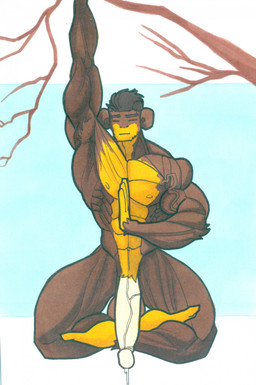 abs anthro balls big_penis bodily_fluids branch brown_body brown_fur brown_hair crossed_legs dripping eyes_closed flaccid fur genital_fluids genitals glans hair hanging_by_arms hanging_from_branch male meditation multicolored_body multicolored_fur muscular muscular_anthro muscular_male nude nude_anthro nude_male penis plant precum precum_drip simple_background solo tree vein veiny_muscles veiny_penis yellow_body yellow_fur tails-n-doll haplorhine mammal monkey primate hi_res